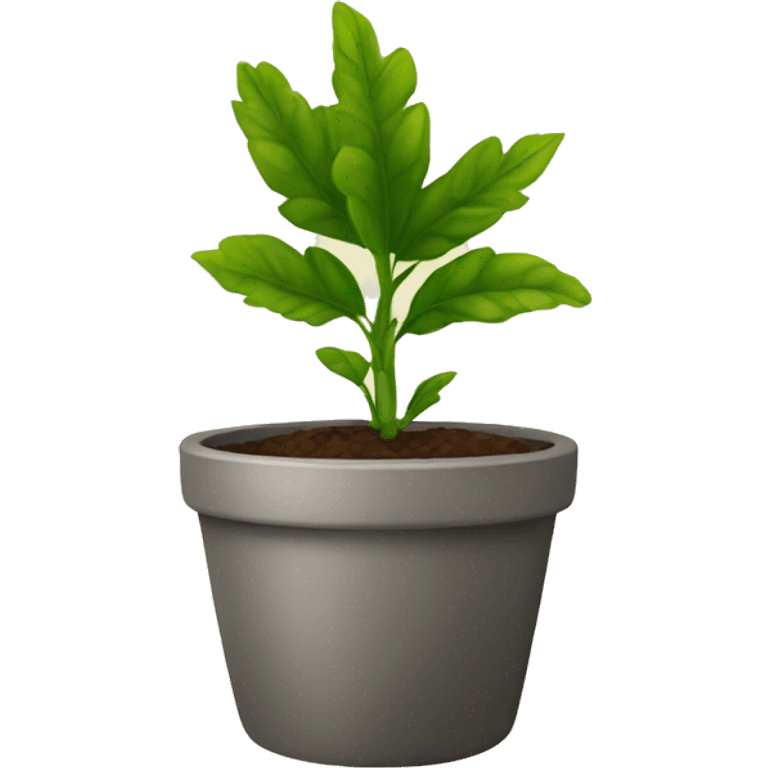 plant in a pot emoji