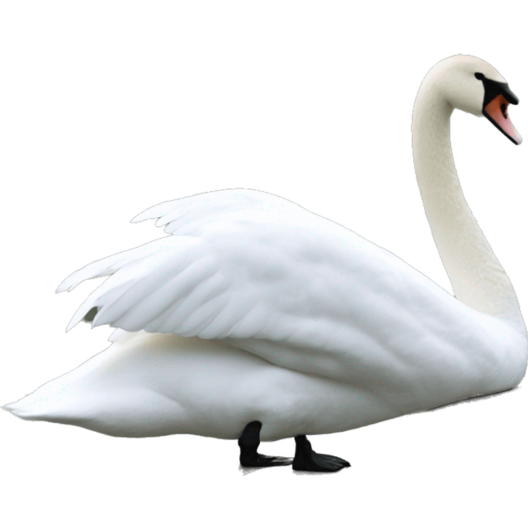 Swan  emoji