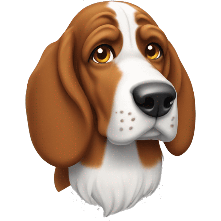 Bassett hound  emoji