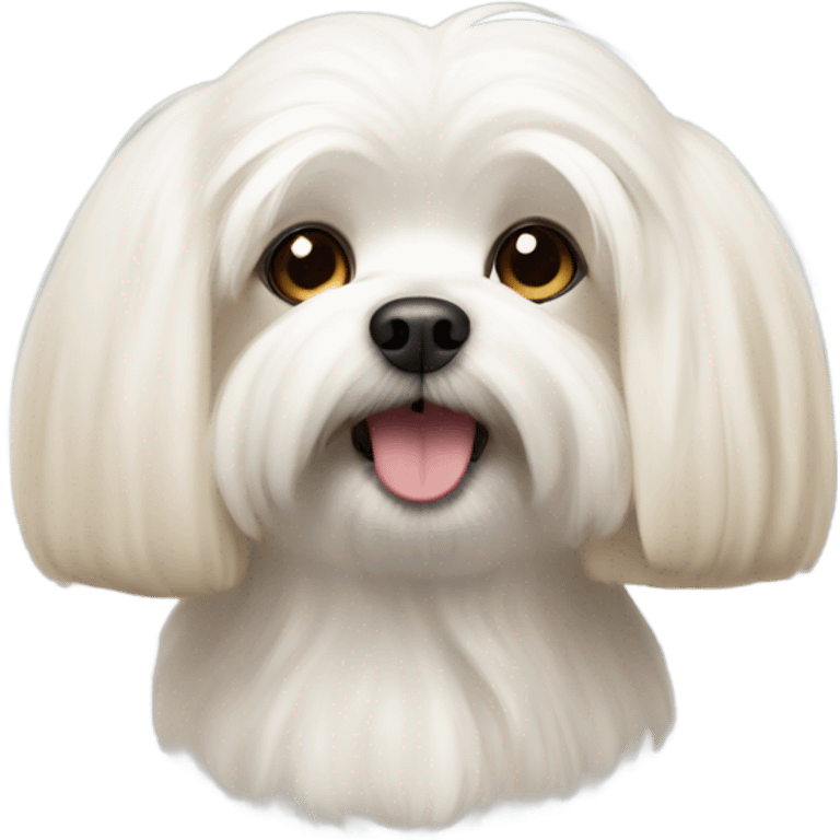 Maltese but blonde  emoji