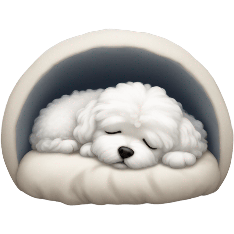 Bichon maltes sleep  emoji