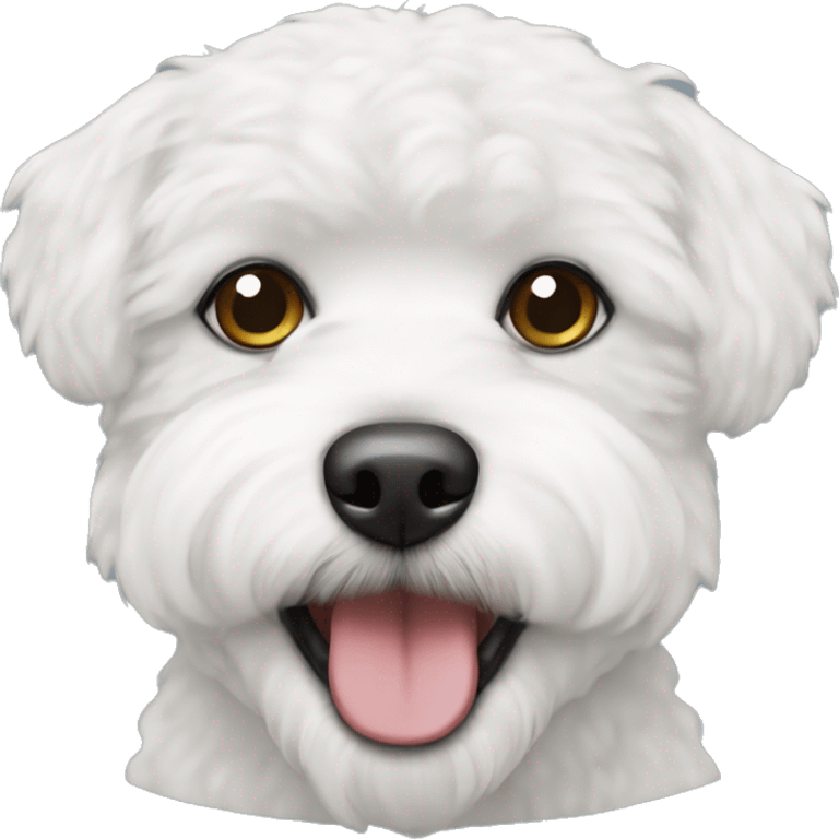 Bichon frise emoji