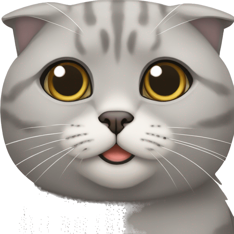 Grey Scottish fold cat  emoji