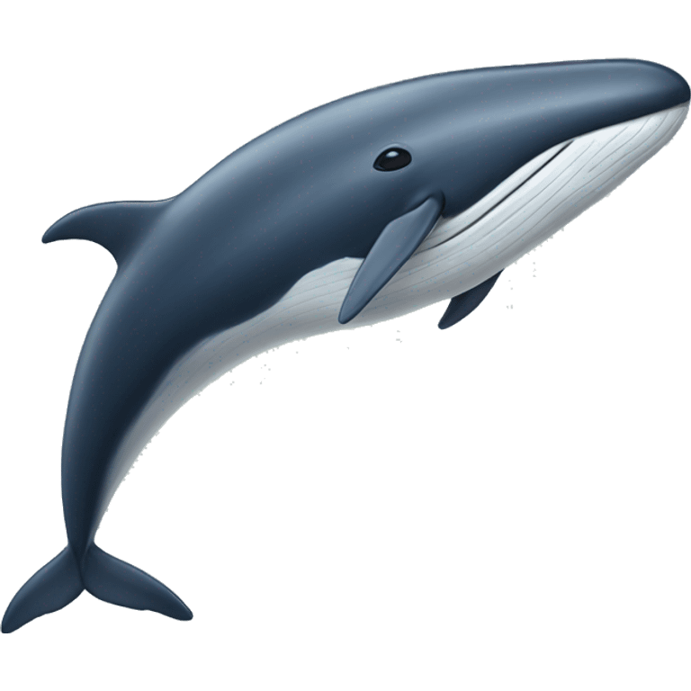 fin whale emoji