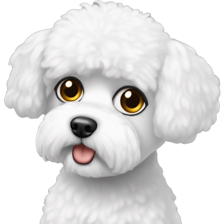 Confused bichon frise with black eyes  emoji