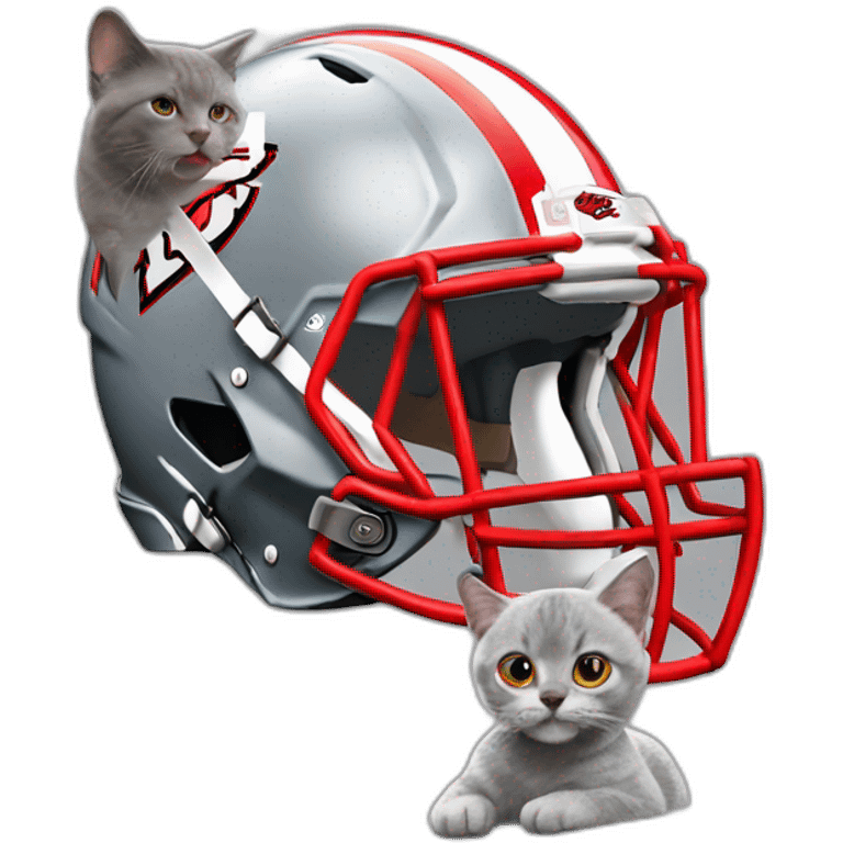 cute grey cat wearing a Kansas City Chiefs helmet next to Taylor Swift emoji