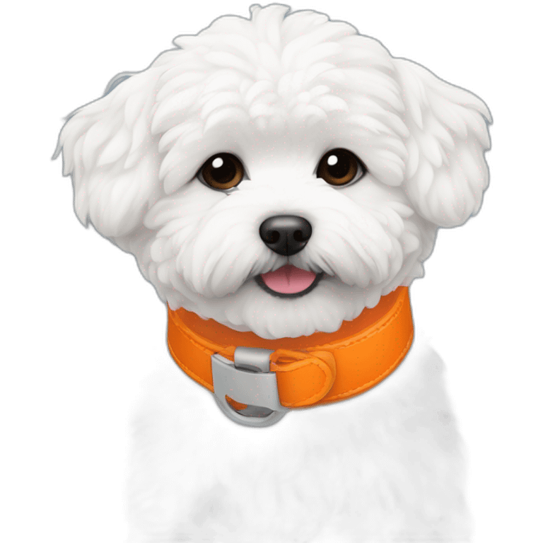 white maltipoo enjoying in the snow with orange collar emoji