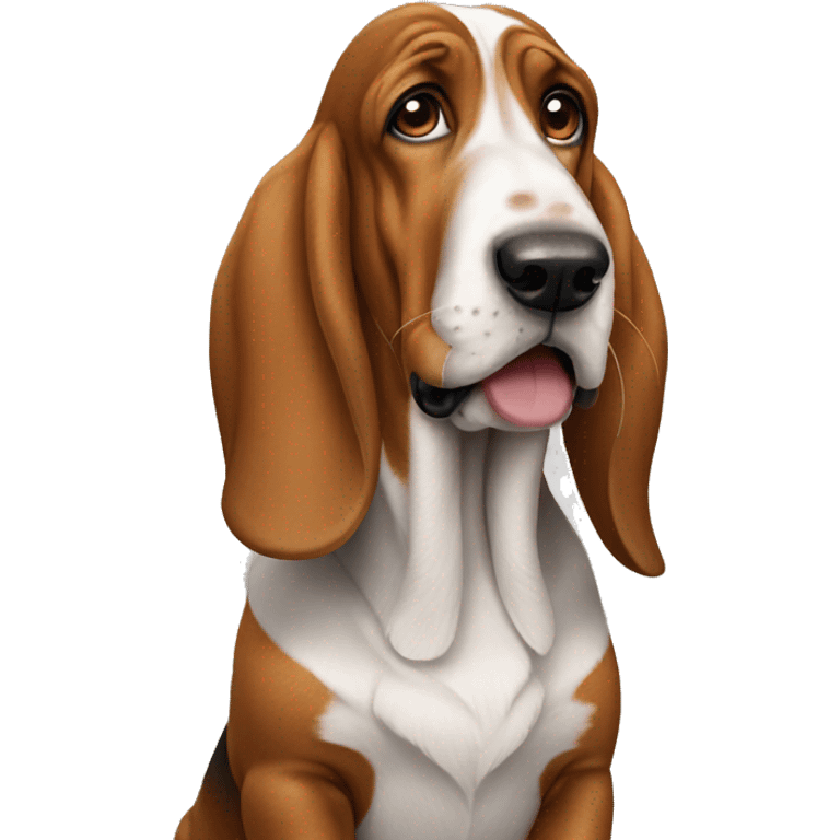 Basset emoji