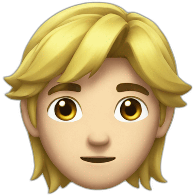 Link from Tears of the kingdom  emoji