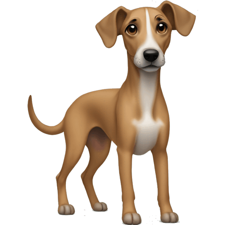 Ridgeback Whippet Mix emoji