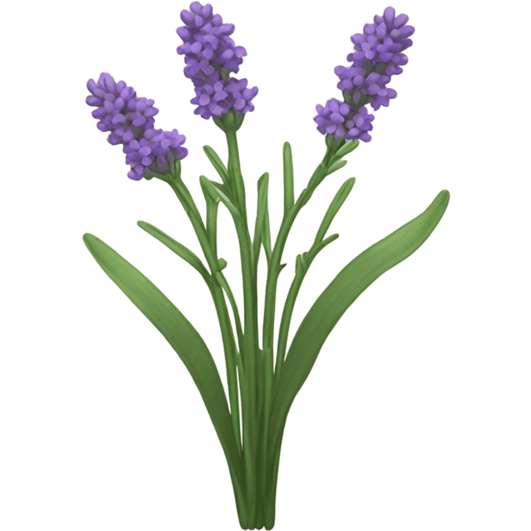 Lavender plant  emoji