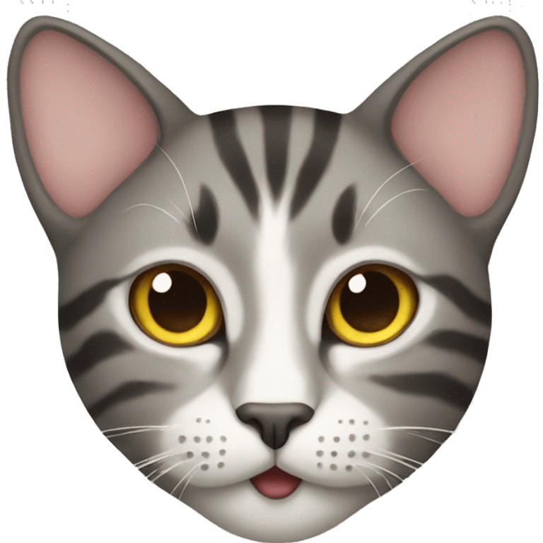 Emoji cat emoji