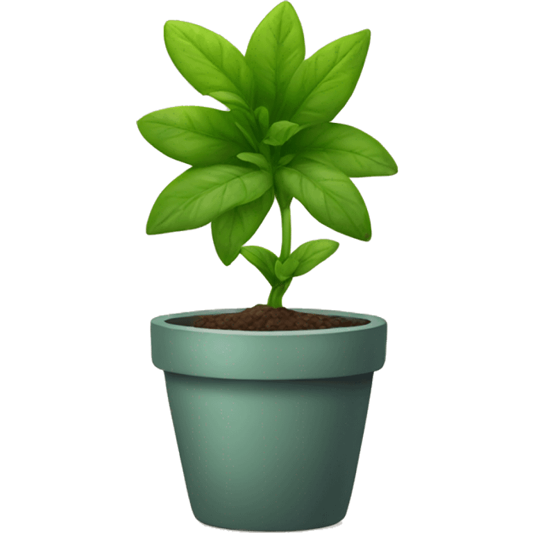 plant in a pot emoji