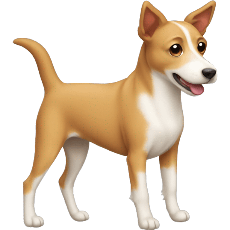 cute mutt podengo dog  emoji