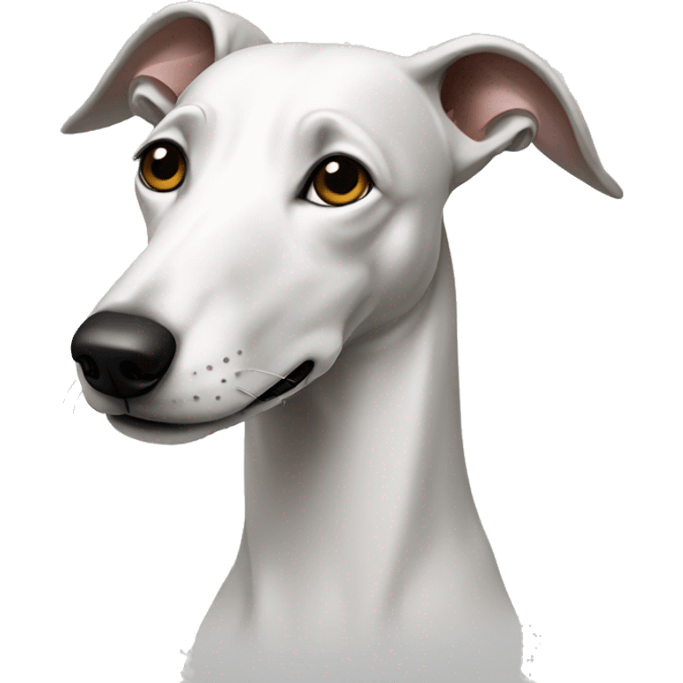 White greyhound emoji