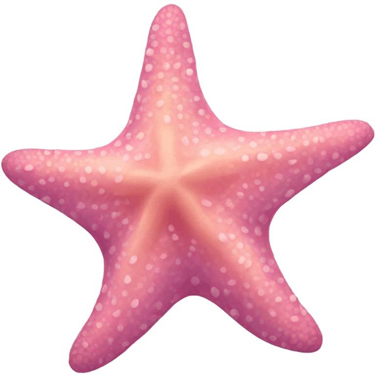 A pink sea star emoji