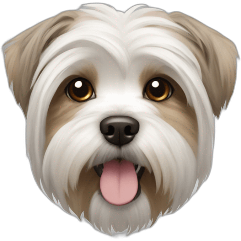 West Highland White terrier, brown/gray combination of a Shih-tzu and a Malthezer emoji