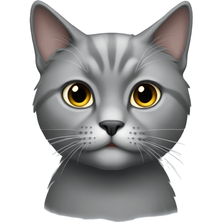 Gray cat persa emoji