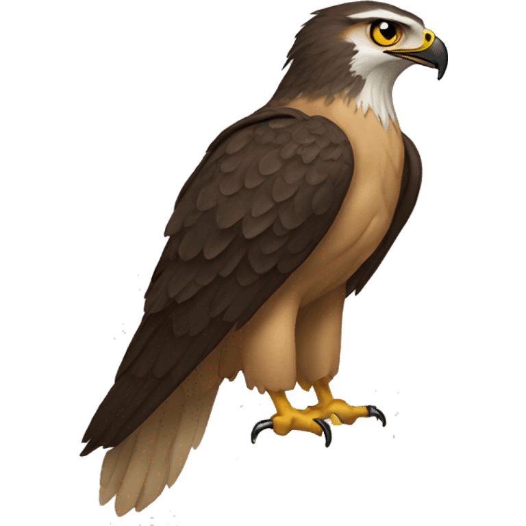 A Hawk tuah emoji