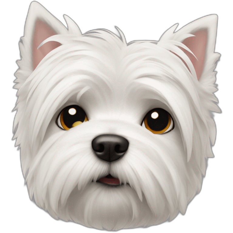 West Highland white terrier with a Michael Jackson nose emoji