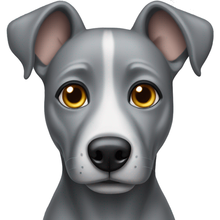 Grey dog with grey eyes  emoji