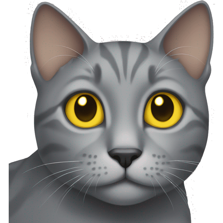 Grey cat with yellow eys emoji