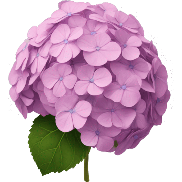 hydrangea  emoji