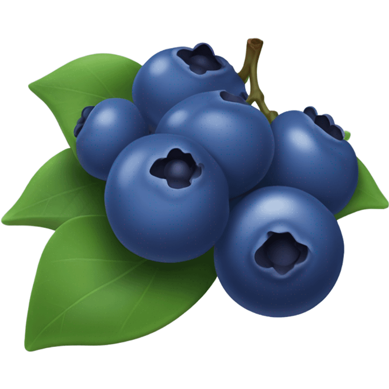 Blueberries  emoji