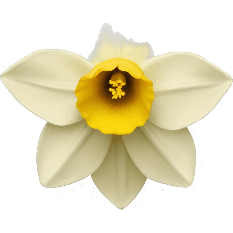 simple Daffodil emoji balck and white emoji