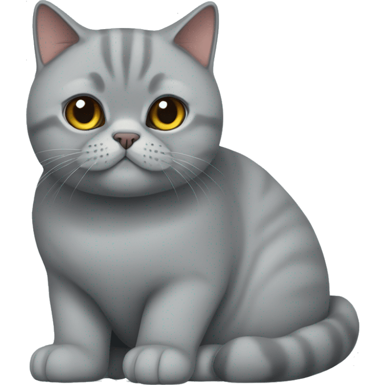 British shorthair cat emoji