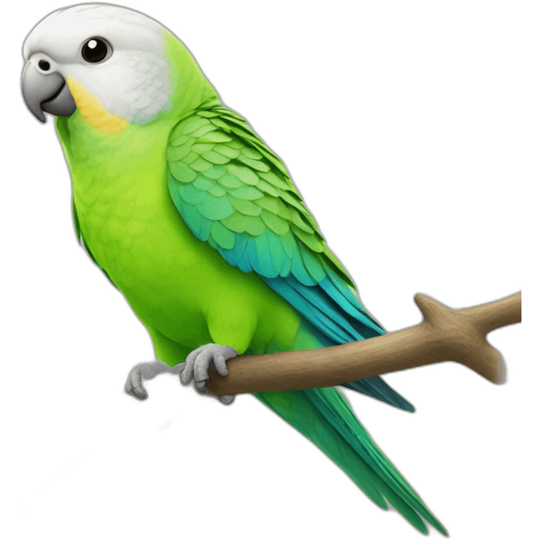 parakeet is thinking emoji