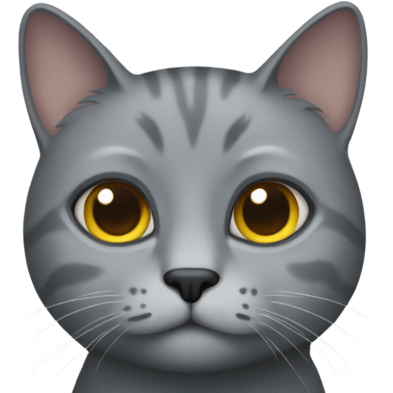 grey cat  emoji