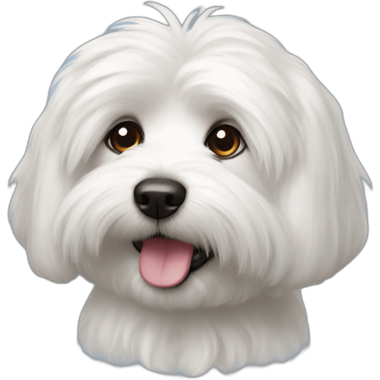 coton de tulear emoji