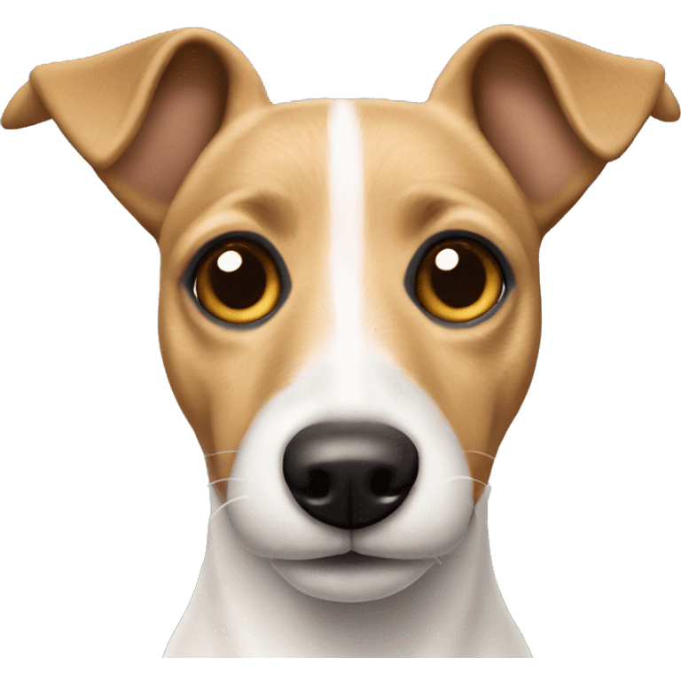 beige Jack Russel dog with pointy ears emoji