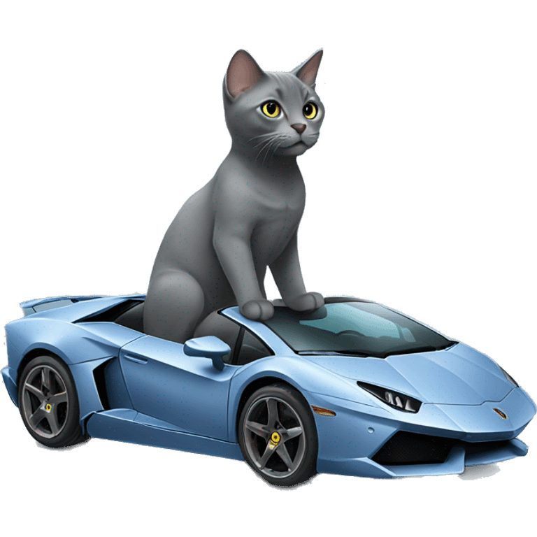 Russian Blue cat driving a Lamborghini  emoji