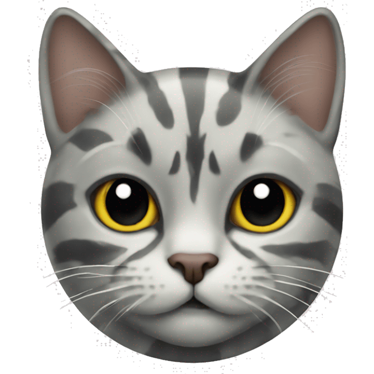 Scotland cat marble  emoji