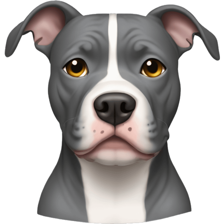 Grey pitbull with a white stripe down the middle of the face emoji