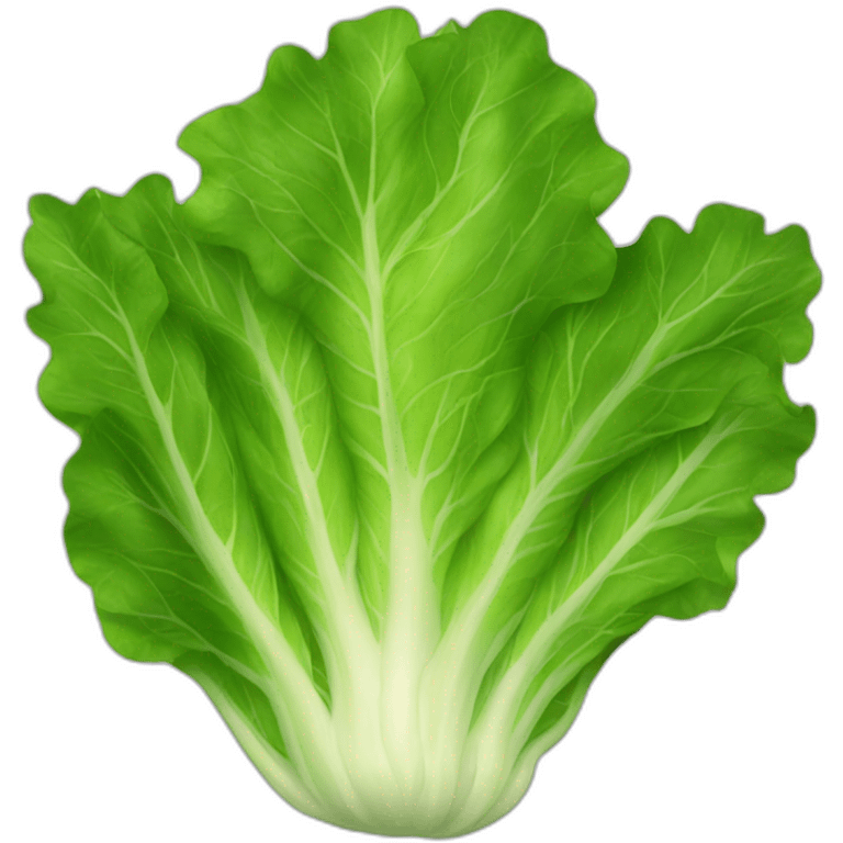 lettuce emoji