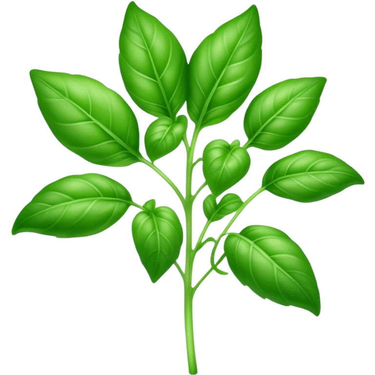 Cinematic Realistic Basil Emoji, Lush and fragrant, with vibrant green leaves that release a fresh, herbal aroma. The soft, glossy leaves are delicately arranged along slender stems, exuding vitality and flavor. Soft glowing outline, capturing the essence of freshness, growth, and aromatic delight in a blossoming basil plant! emoji