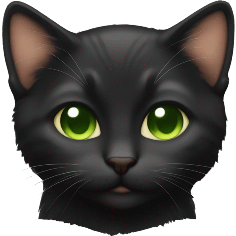 Black coat and brown green eyes kitten  sleeping  emoji