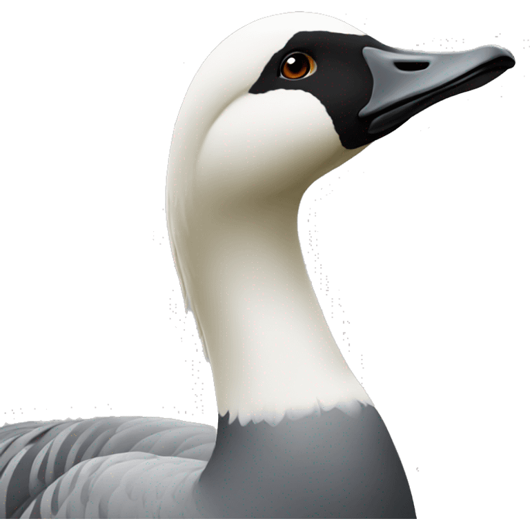 montclair geese emoji