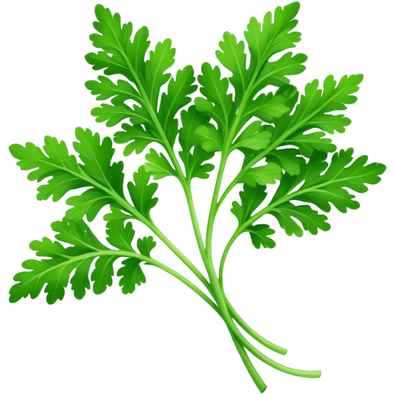 Cinematic Realistic Parsley Emoji, Fresh and vibrant, with bright green, frilly leaves that seem to shimmer with vitality. The plant exudes a sense of healthy growth and aromatic zest, inviting both beauty and flavor into any dish. Soft glowing outline, capturing the essence of freshness, health, and culinary delight in a sprig of parsley! emoji