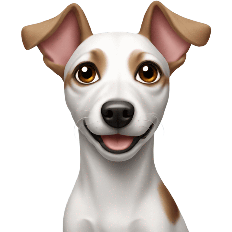 rat terrier emoji