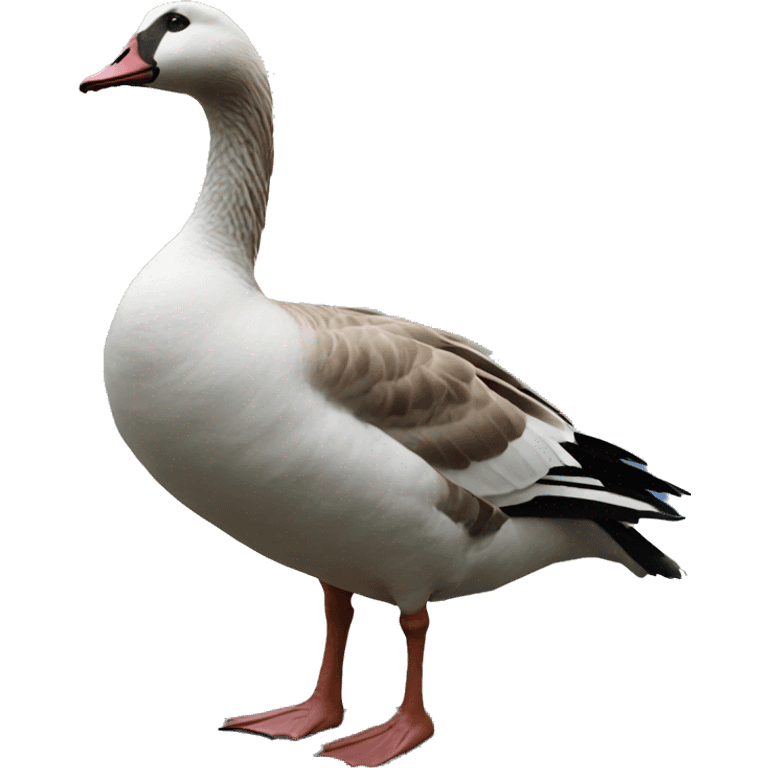 goose in front of the world emoji