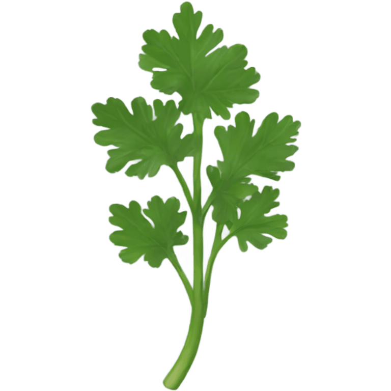 Coriander  emoji