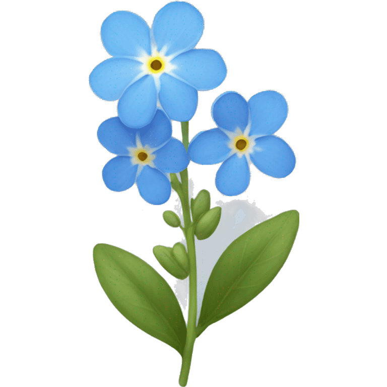 Forget me not flower  emoji