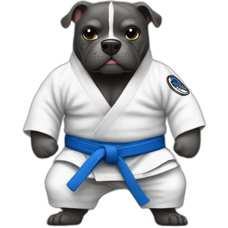 jiu-jitsu pirbull with blue belt emoji