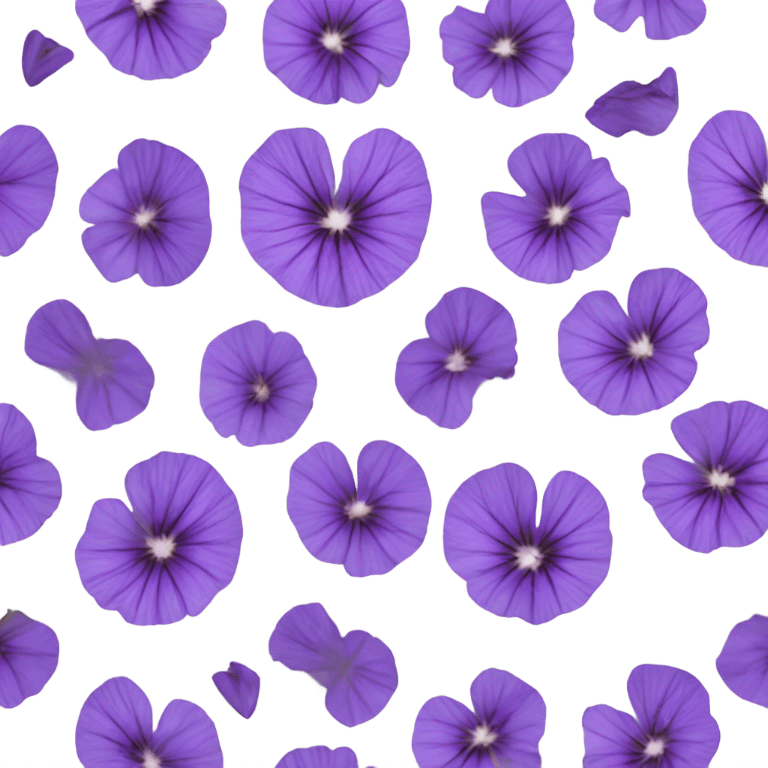 Purple Chicory flowers black heart emoji