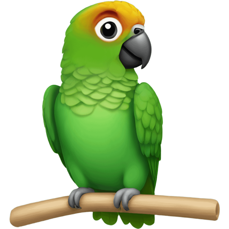 Happy Green cheek conure  emoji