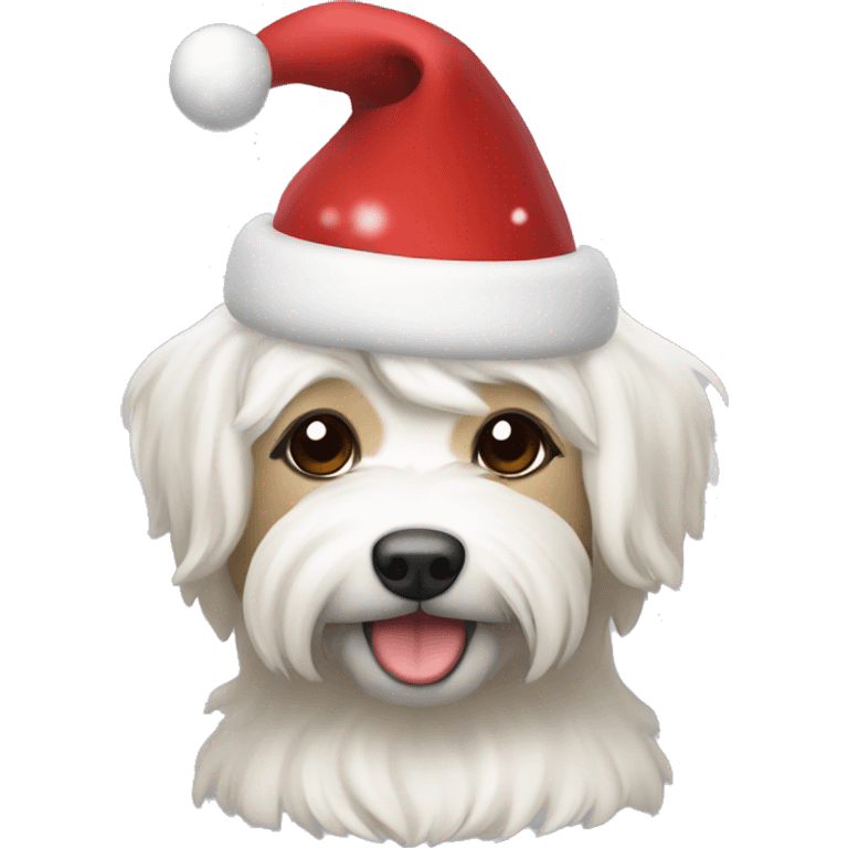 Christmas Havaneese  emoji